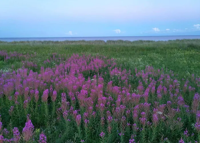 6 Person In Vaeggerlose Σπίτι διακοπών *